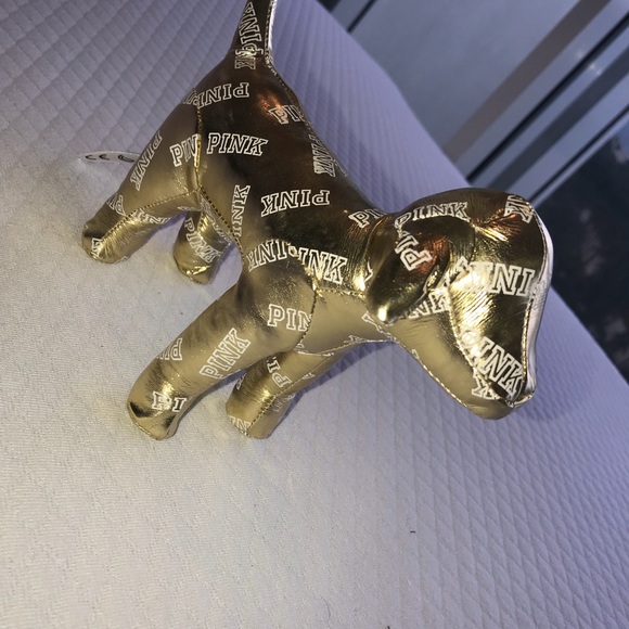 Pink dog - Picture 2 of 3